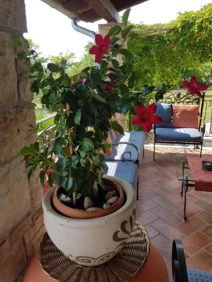 Villa Slivari Žminj Dış mekan fotoğraf